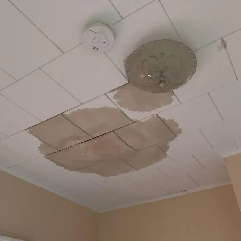 Ceiling Water Damage Repair in Columbus Air Force Base, MS