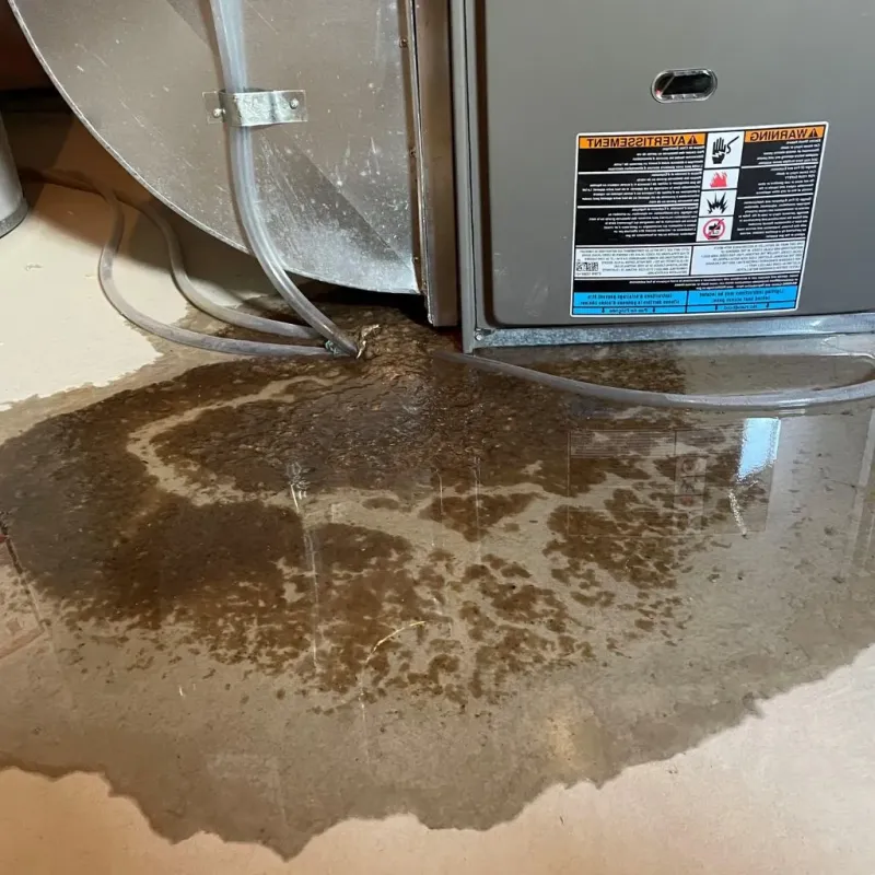 Pipe Burst and Leak Restoration in Columbus Air Force Base, MS